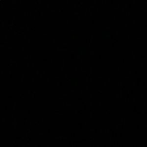 Meet your Posher, Ella